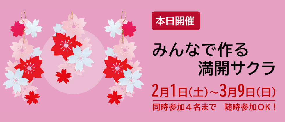 本日開催「みんなで作る満開サクラ」